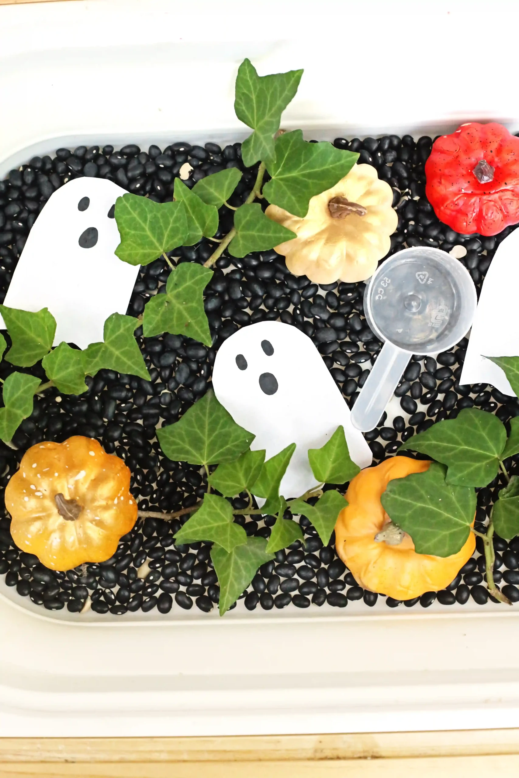 a Haunted Pumpkin Patch Sensory Bin that has black beans, ghosts, and pumpkins