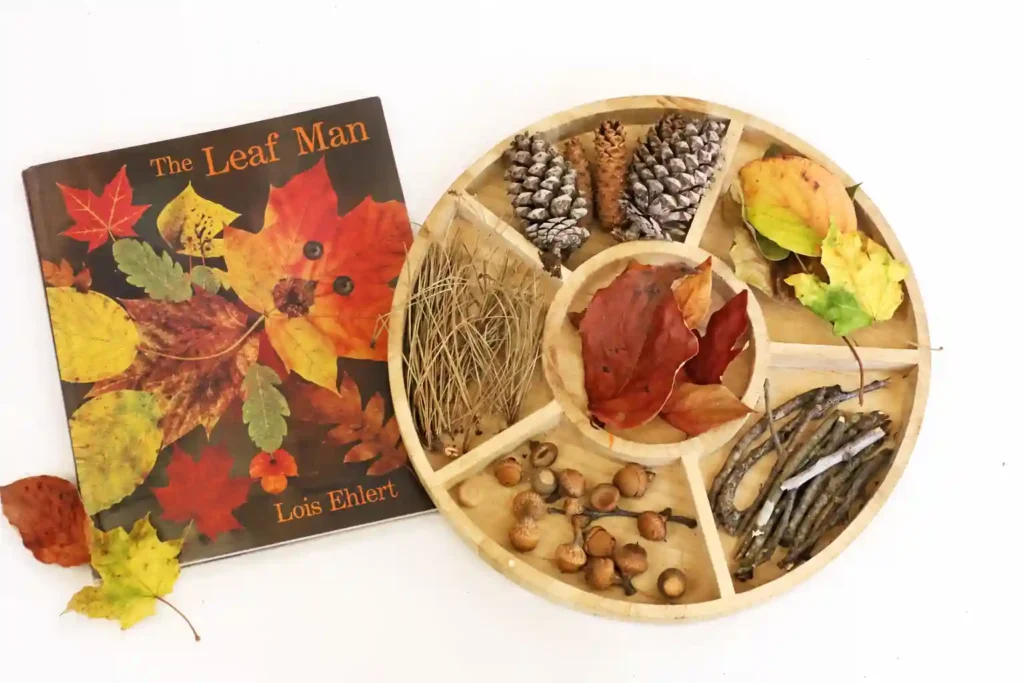 supplies for the leaf man sensory bin: leaves, sticks, pinecones, and acorns
