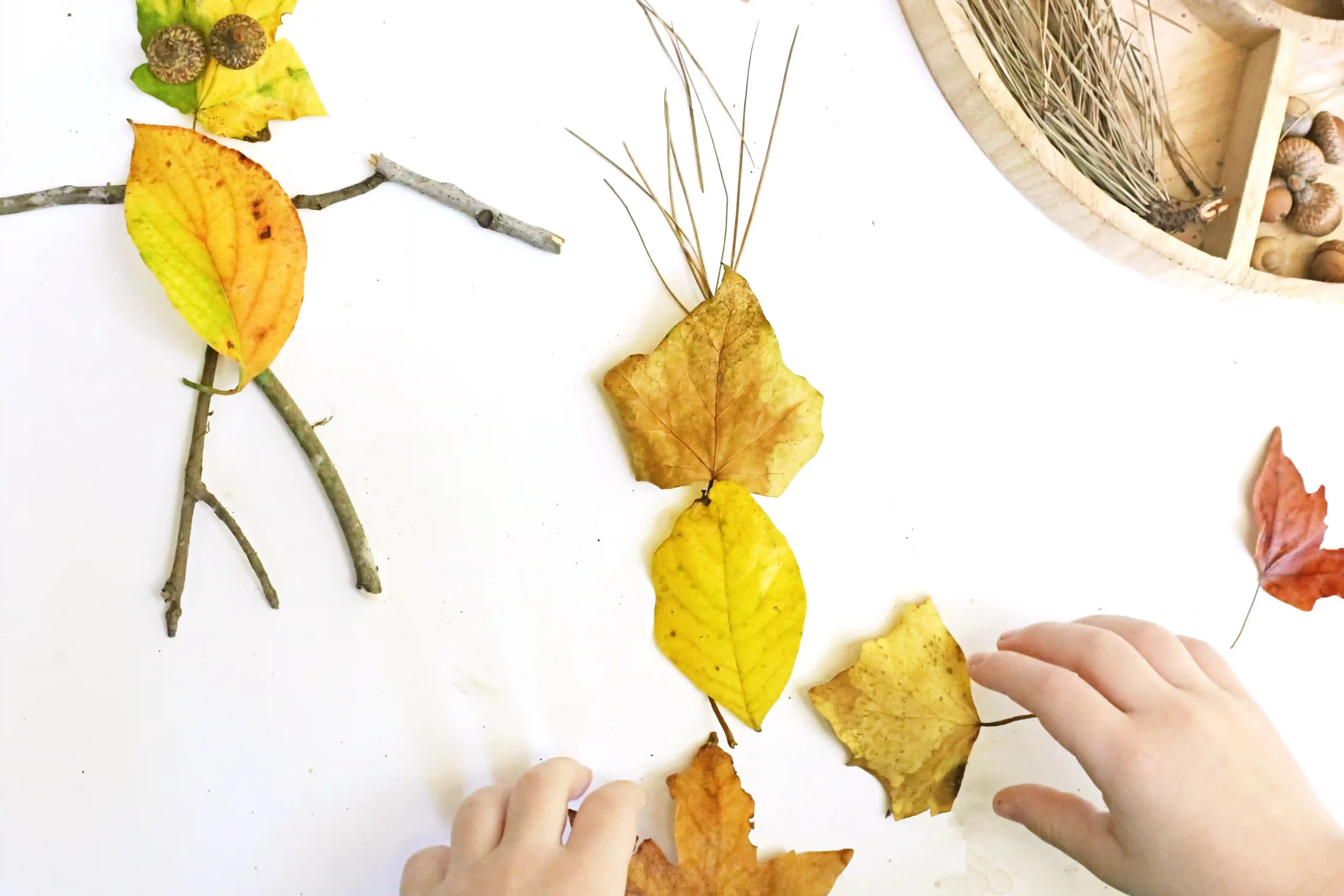 a kid building a person out of leaves, twigs, and pinecones