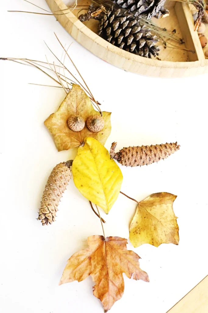 a man built out of leaves, pinecones, and acorns