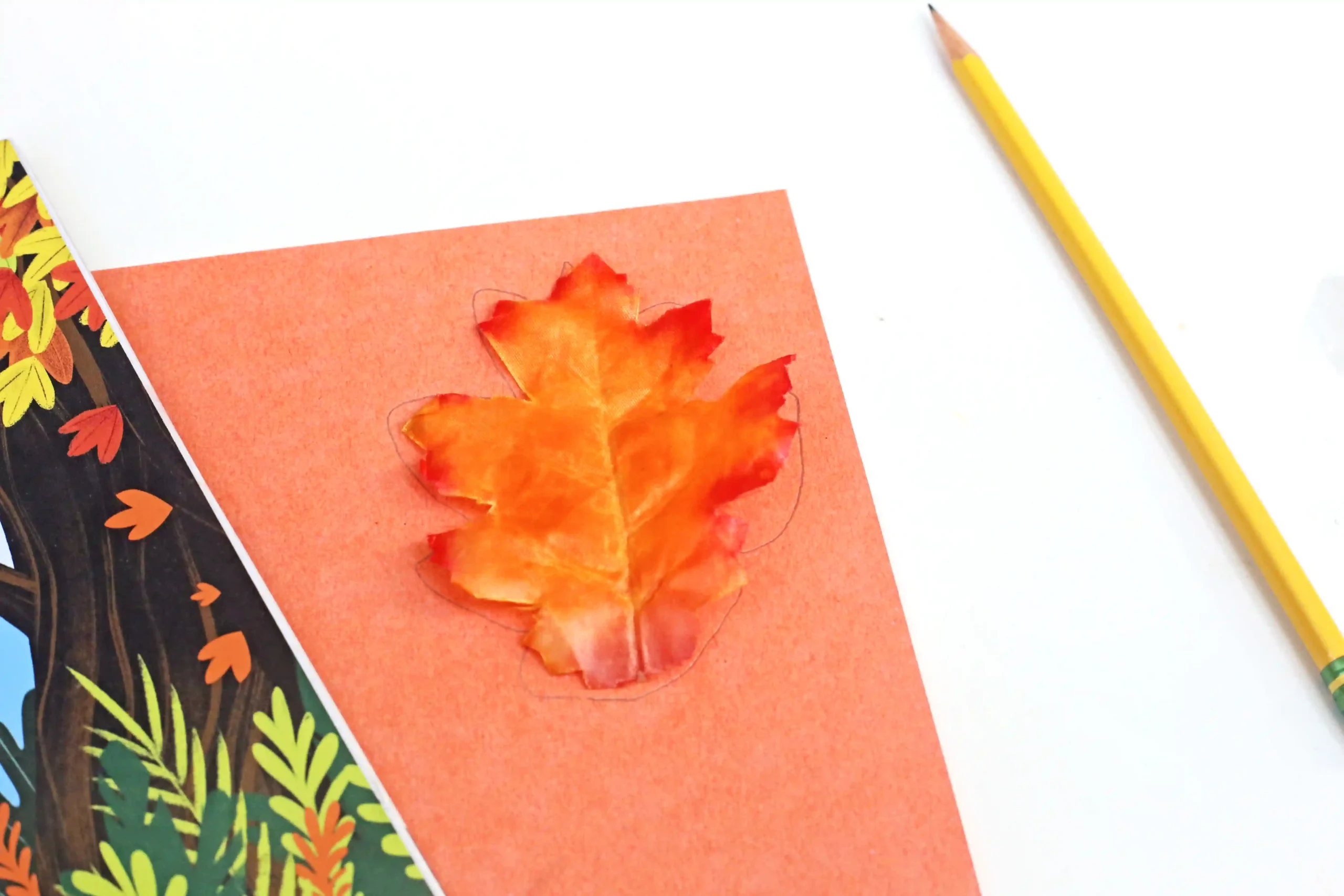 a leaf on orange construction paper