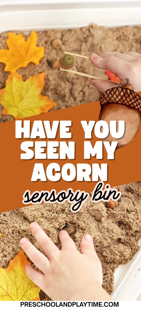 a sensory bin with leaves and acorns