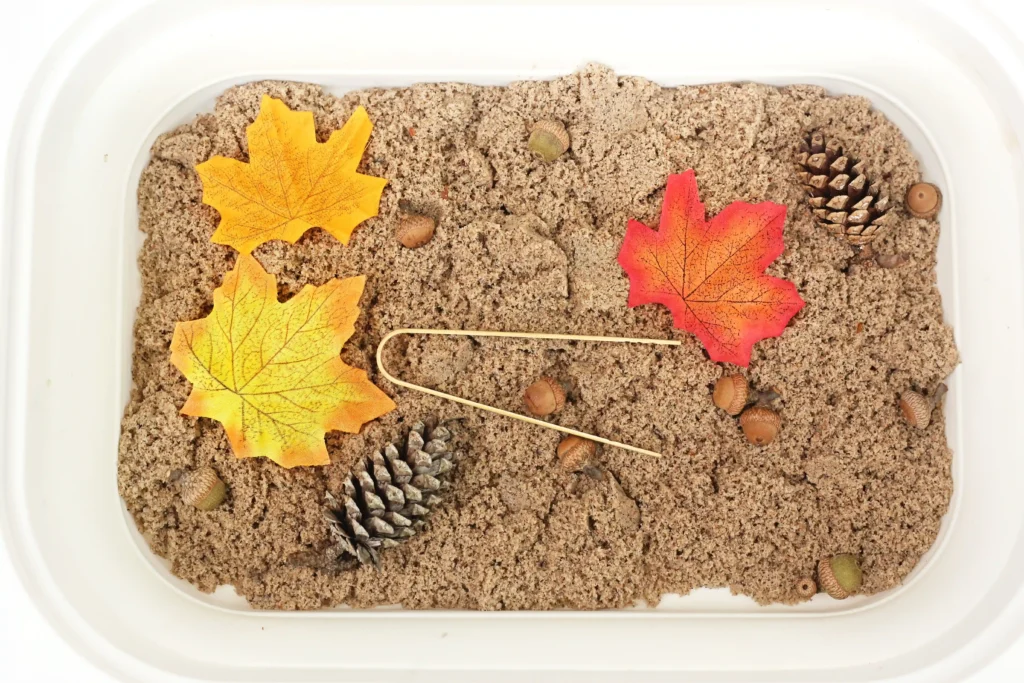 a sensory bin with leaves and acorns