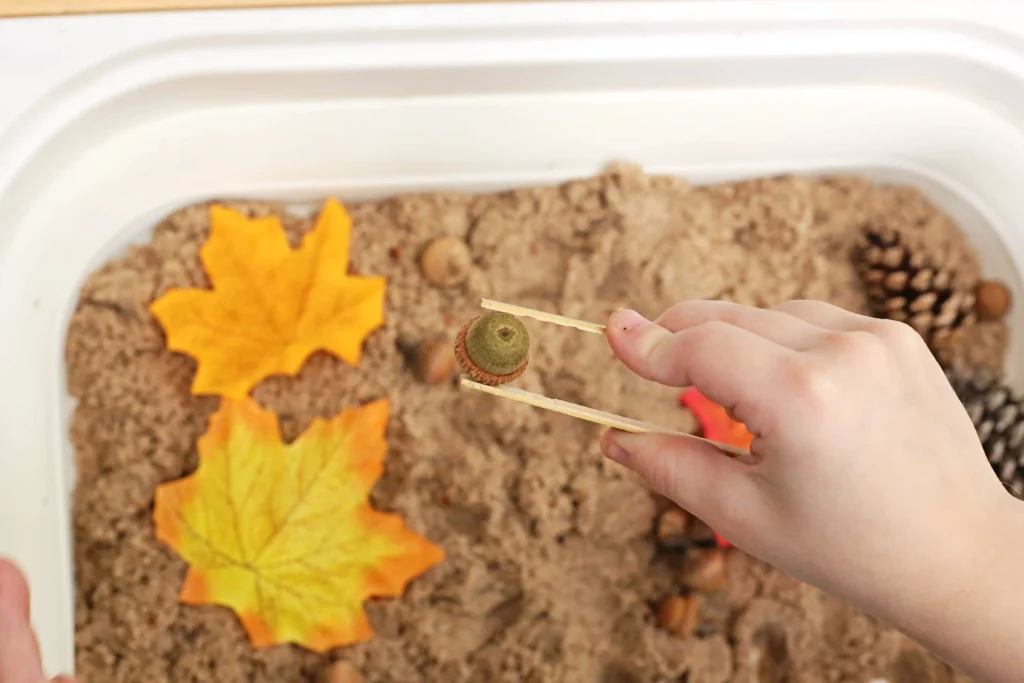 a sensory bin with leaves and acorns