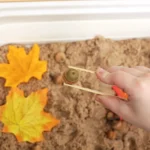 a sensory bin with leaves and acorns