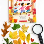 supplies for the leaf hunt investigation: the book "we're going on a leaf hunt," leaves, and a magnifying glass