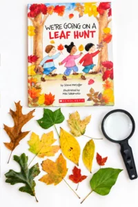 supplies for the leaf hunt investigation: the book "we're going on a leaf hunt," leaves, and a magnifying glass