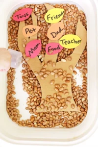 a thanksgiving sensory bin with dried beans, a cardboard tree, and construction paper feathers