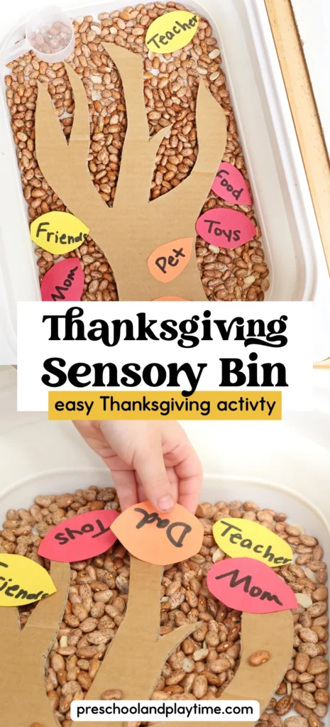 a thanksgiving sensory bin with dried beans, a cardboard tree, and construction paper feathers